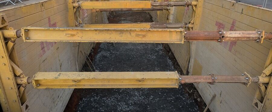 PXL_20250305_055447065 (1)